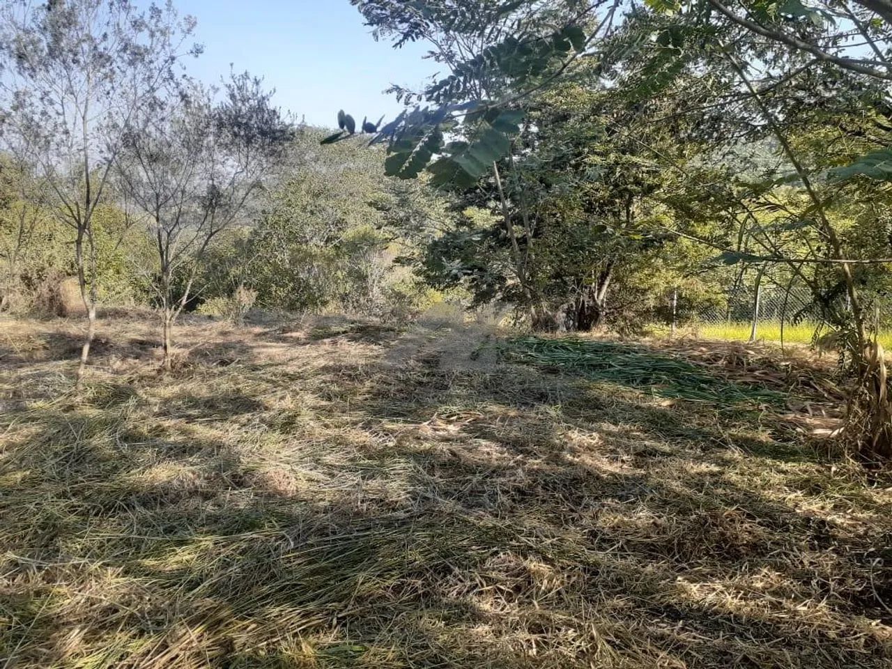 terreno - Joaquim Egídio - Campinas - Foto 3