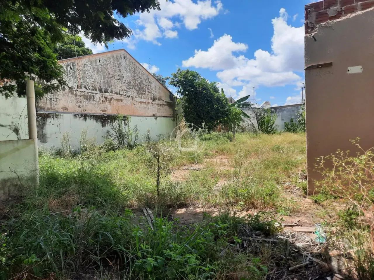 TERRENO NO ASFALTO BAIRRO CAIÇARA - Foto 5