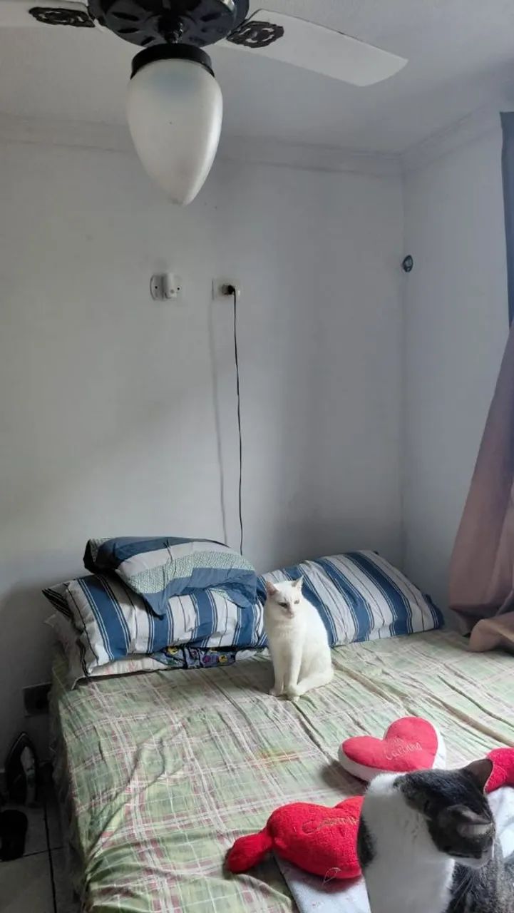 Apartamento a venda