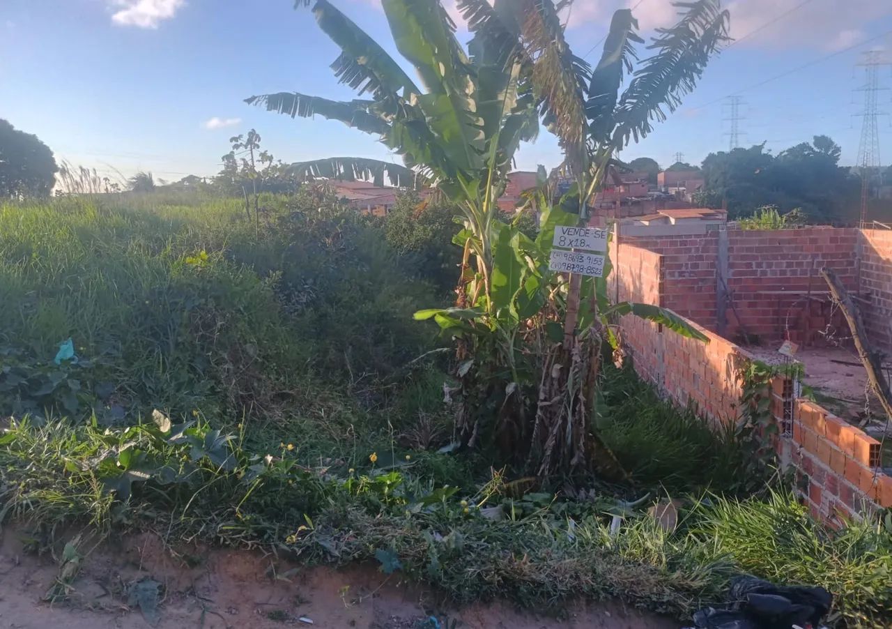 Vende-se terreno  - Foto 2