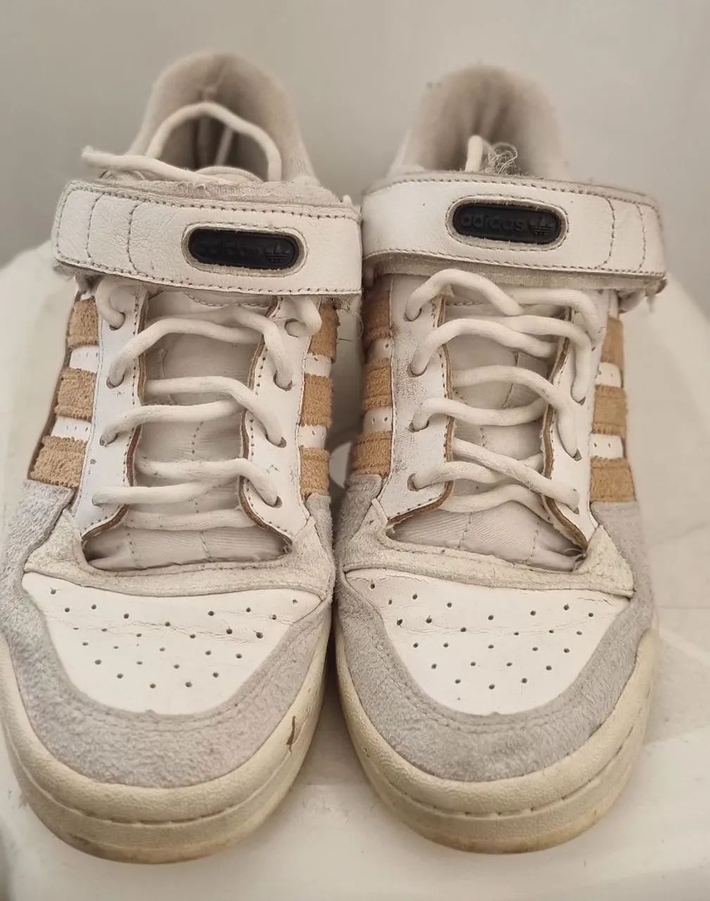 Adidas forum law