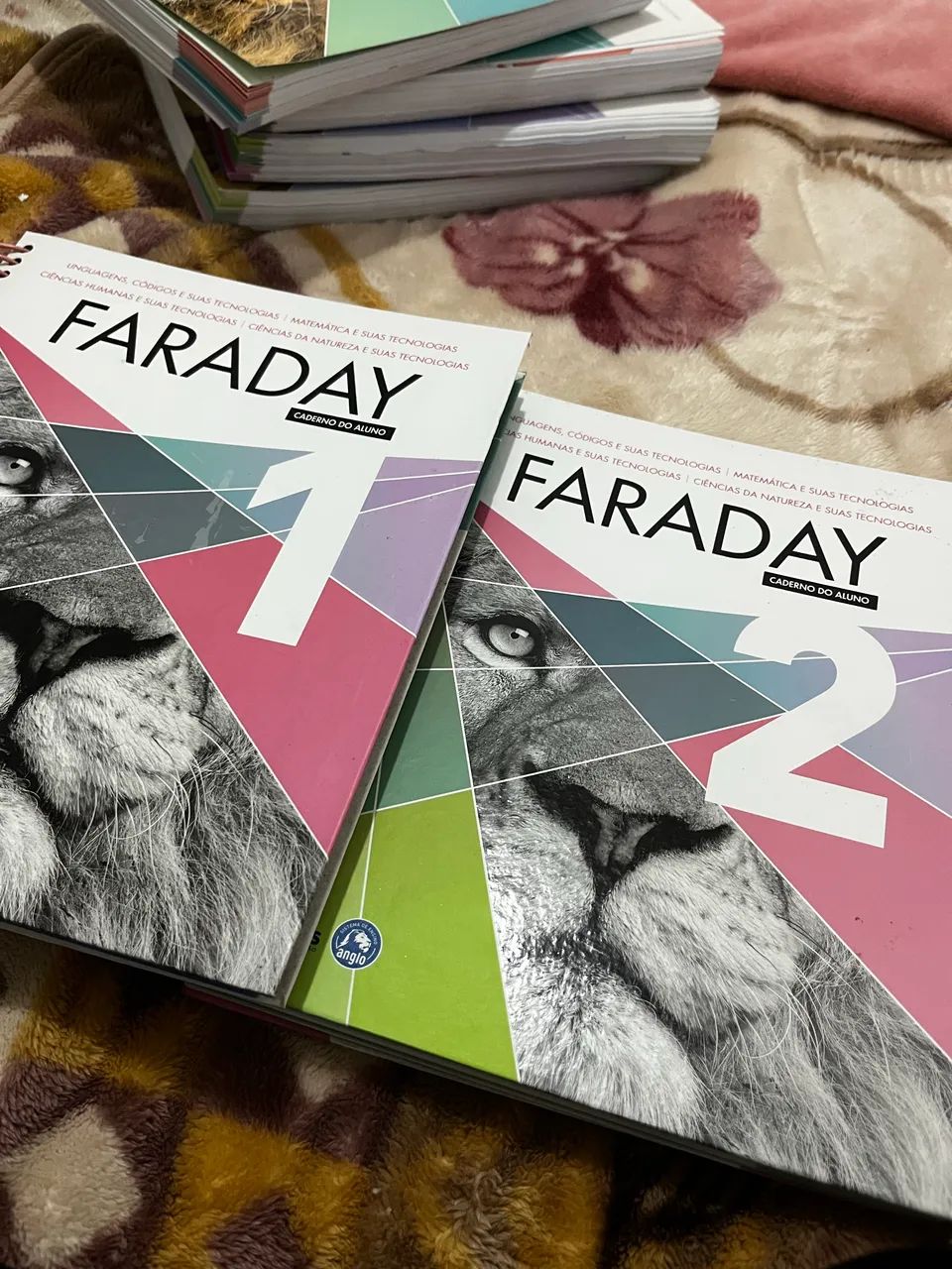 Cadernos de Estudos ENEM - FARADAY - Foto 3