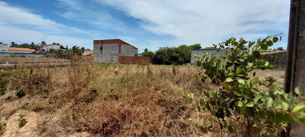 Terreno em lagoa do pau coruripe  - Foto 3