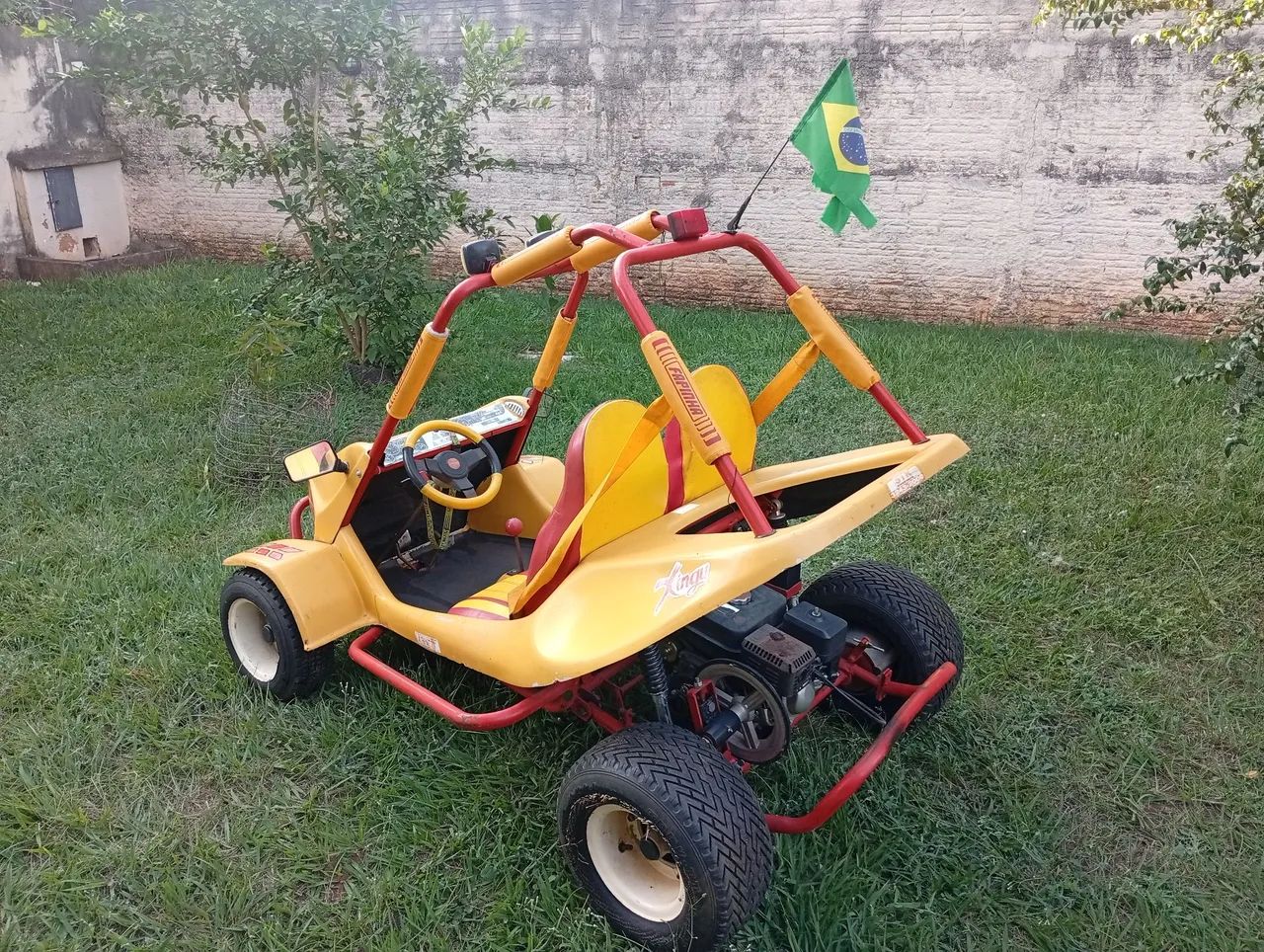 Mini Buggy Fapinha  - Foto 6
