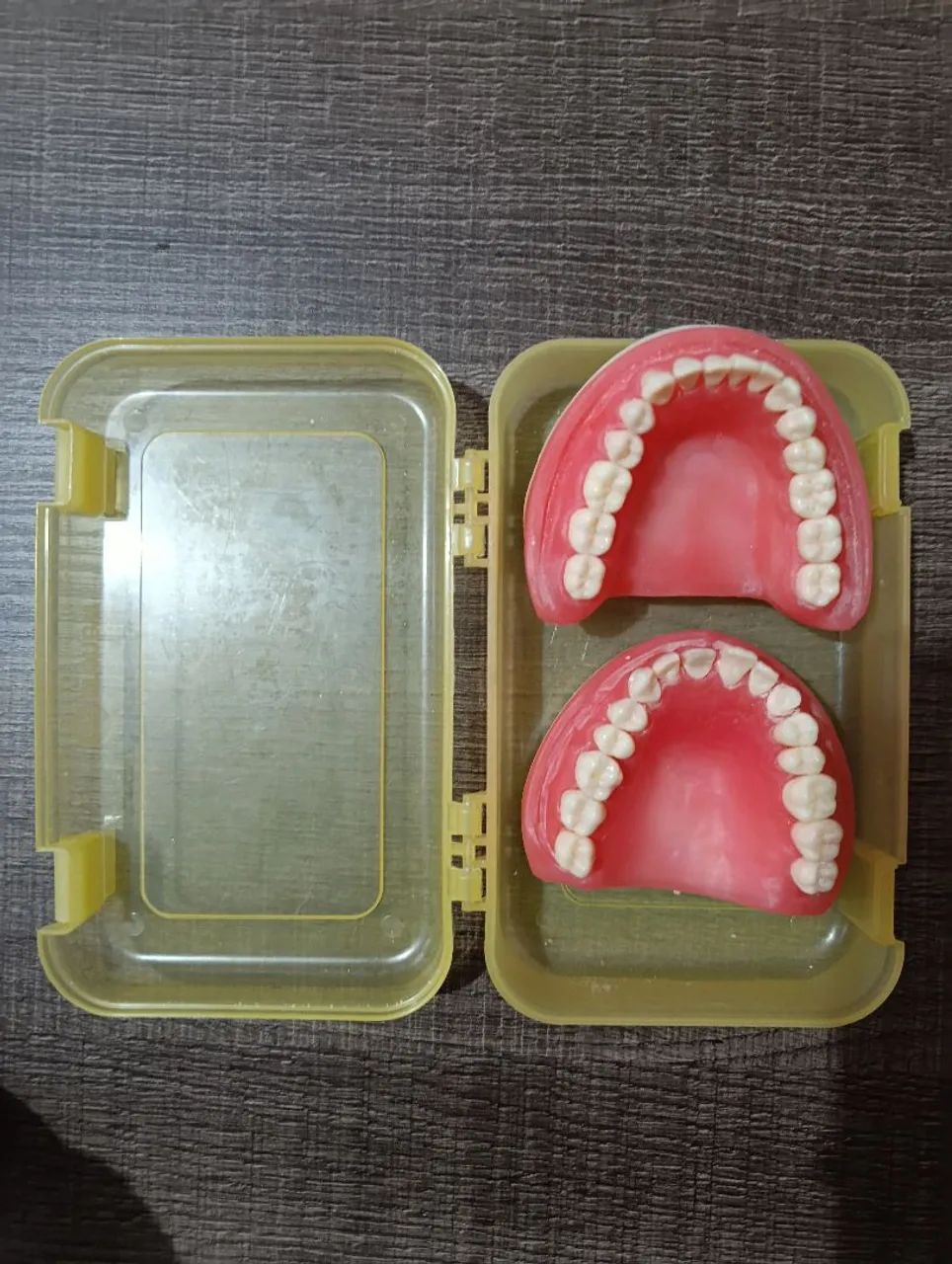 Manequim de  odontologia  - Foto 2