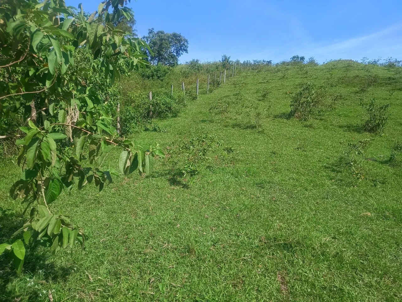 TERRENO 17.760 M2 - Foto 5