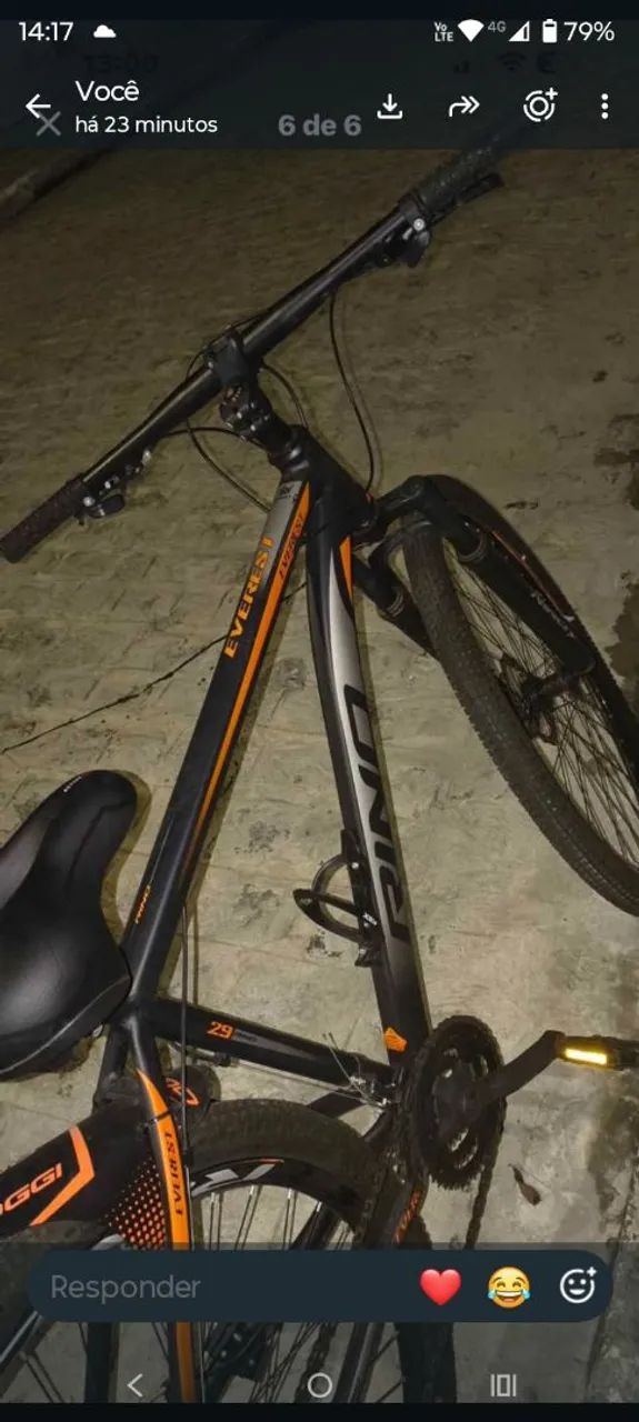 BICICLETA 