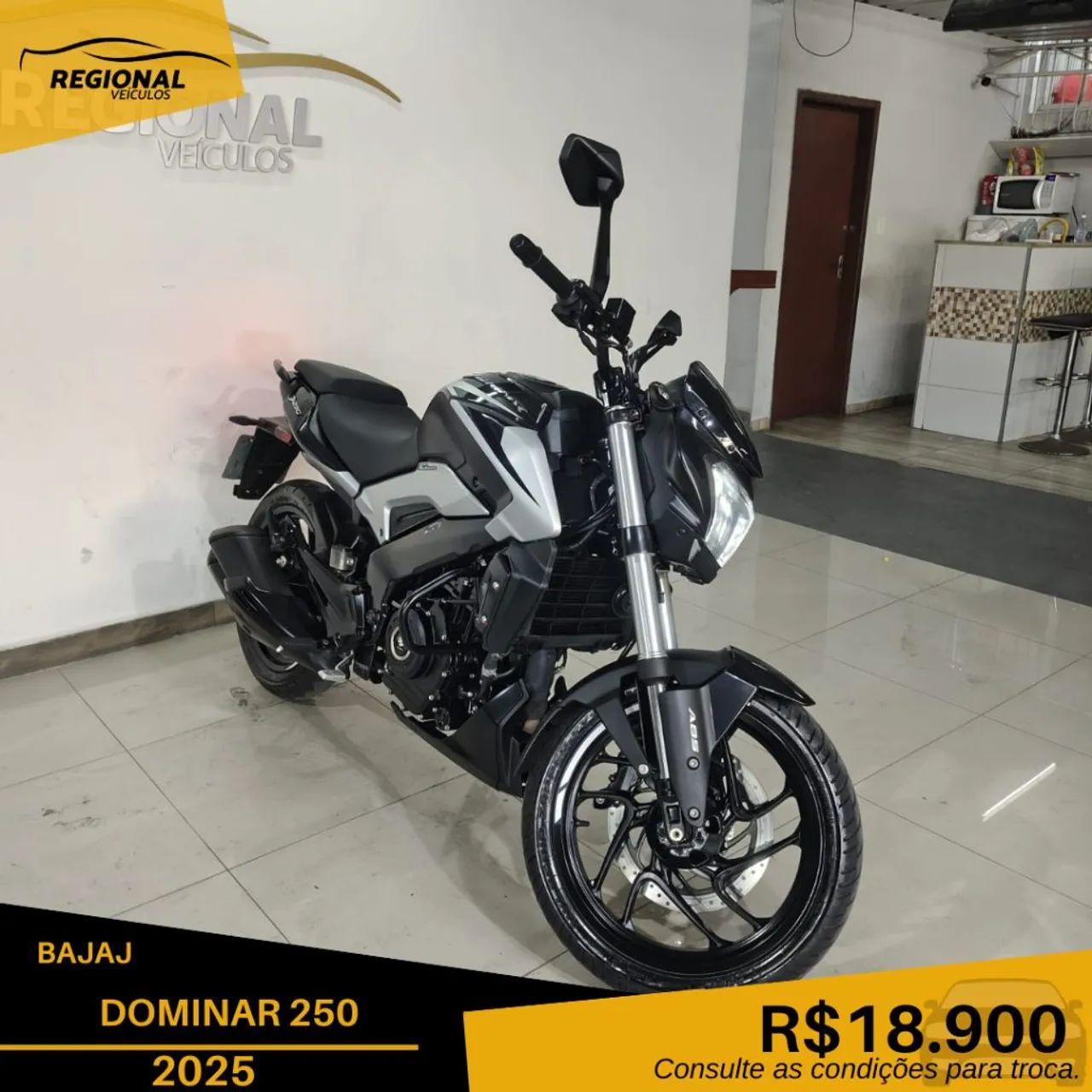 DOMINAR 250 - Foto 4