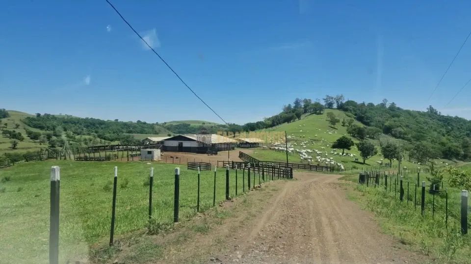 Fazenda 100 alqueires