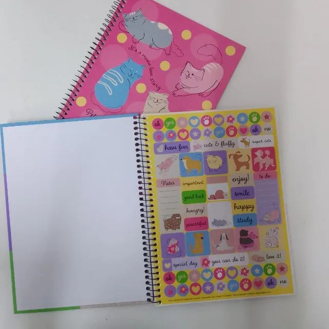 Kit com 5 Cadernos Capa Dura Feminino - Foto 5