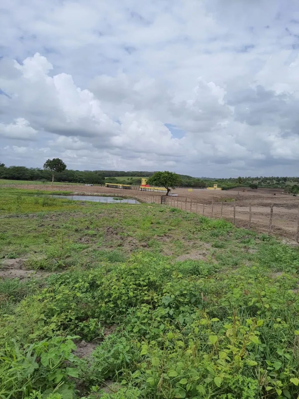 Excelente Granja em Monte alegre com 11 hectares