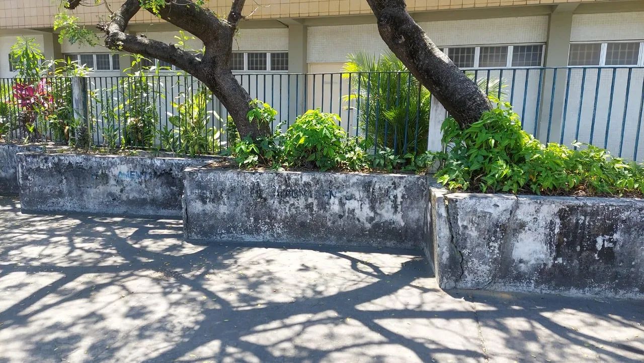 Alugo área na Av. Norte com 4.000m² / Vasco da Gama - Recife - PE - Foto 4