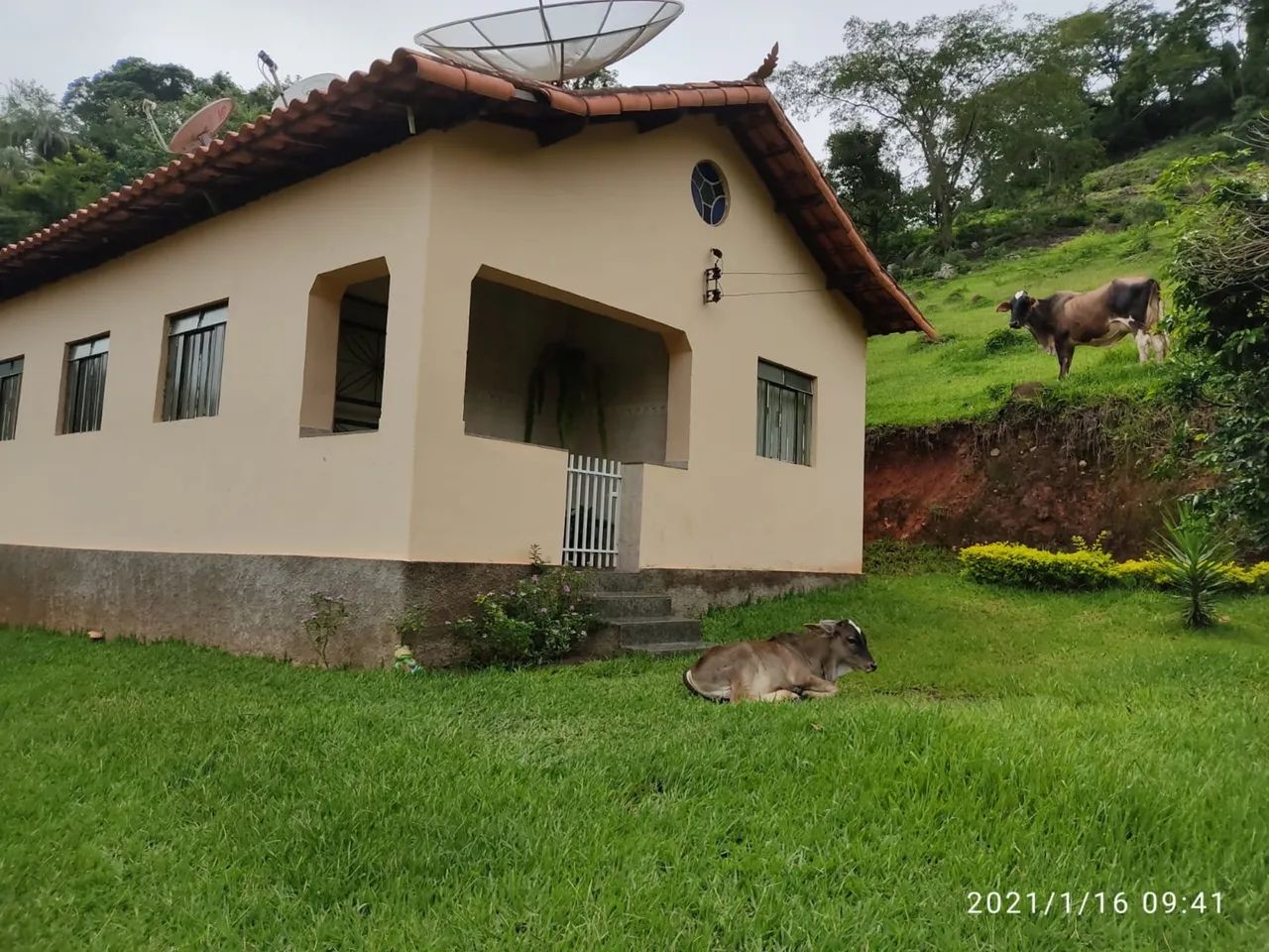 FAZENDINHA DE 2,5 HECTARES EM BONFIM/MG