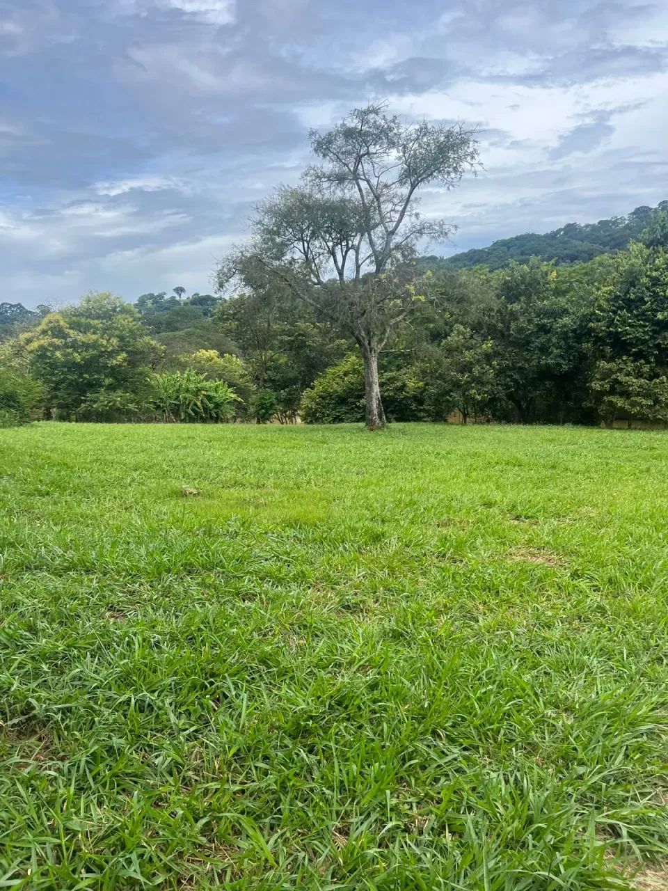 LOTE COM LAGO AO FUNDO - Foto 3