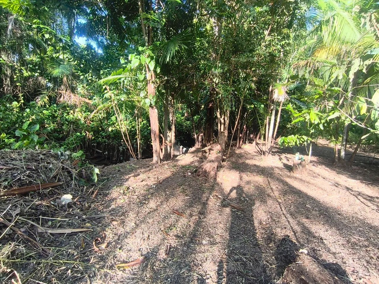 Vendo terreno no Matapi... 20 mil para vender logo...  - Foto 4