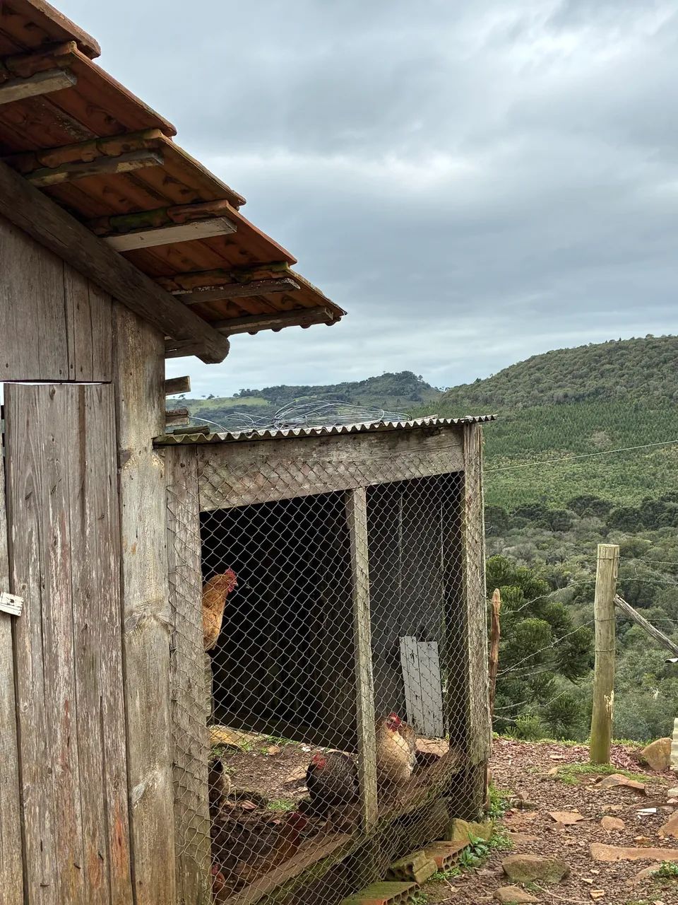 Sítio à venda  - Foto 2