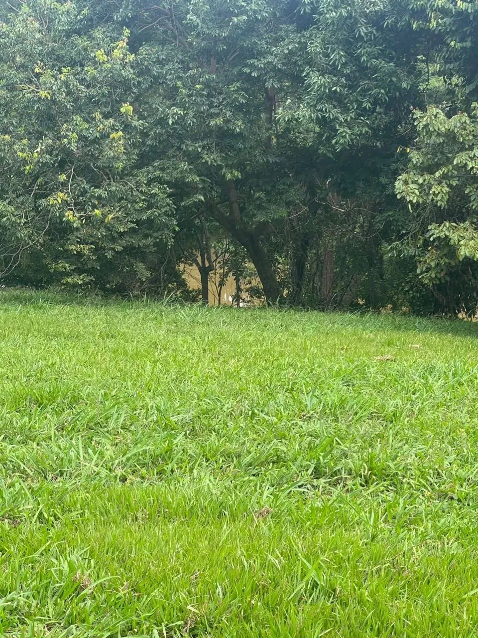 LOTE COM LAGO AO FUNDO - Foto 2