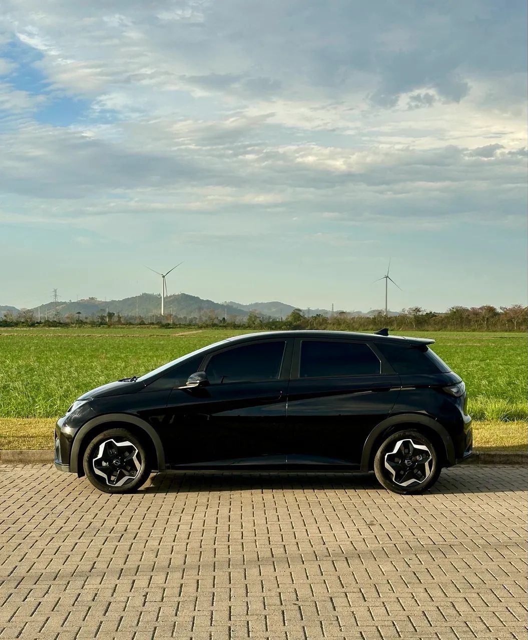 BYD Dolphin EV (Elétrico) 2024 - Foto 4