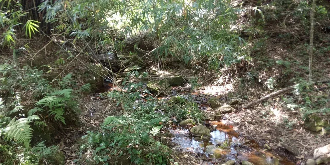 Imóvel para venda possui 65000 metros quadrados em Área Rural de Pinhalzinho - Pinhalzinho - Foto 11