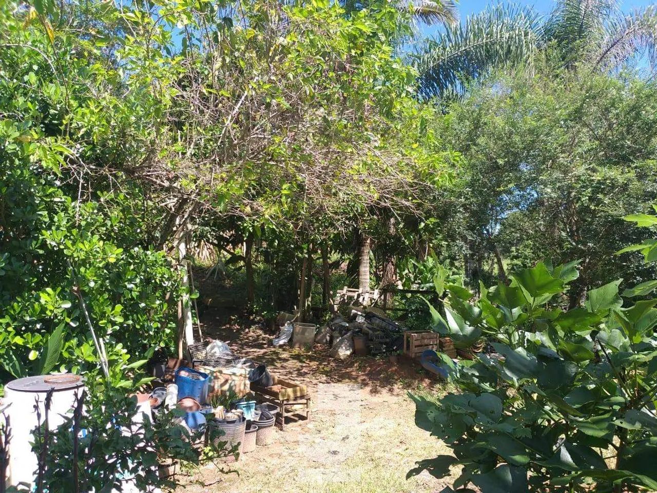 Chácara à Venda - Lambedor, Monte Alegre do Sul - 2.048m2 - 1 Quartos - Foto 4
