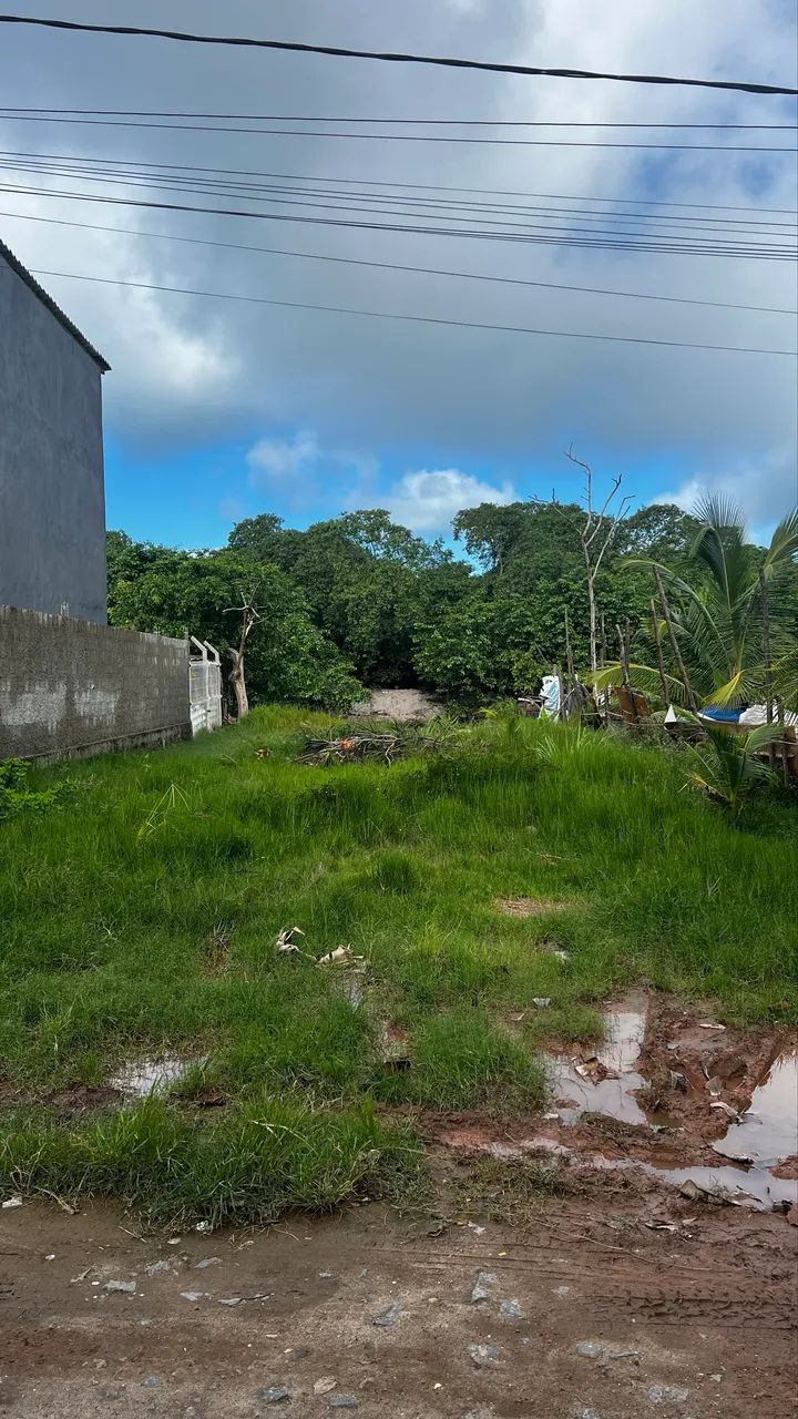 Terreno grande com um rio em frente  - Foto 3
