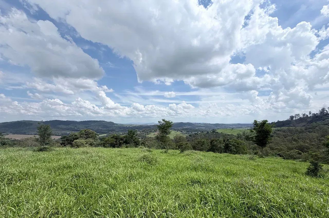 Imóvel para venda possui 65000 metros quadrados em Área Rural de Pinhalzinho - Pinhalzinho - Foto 6