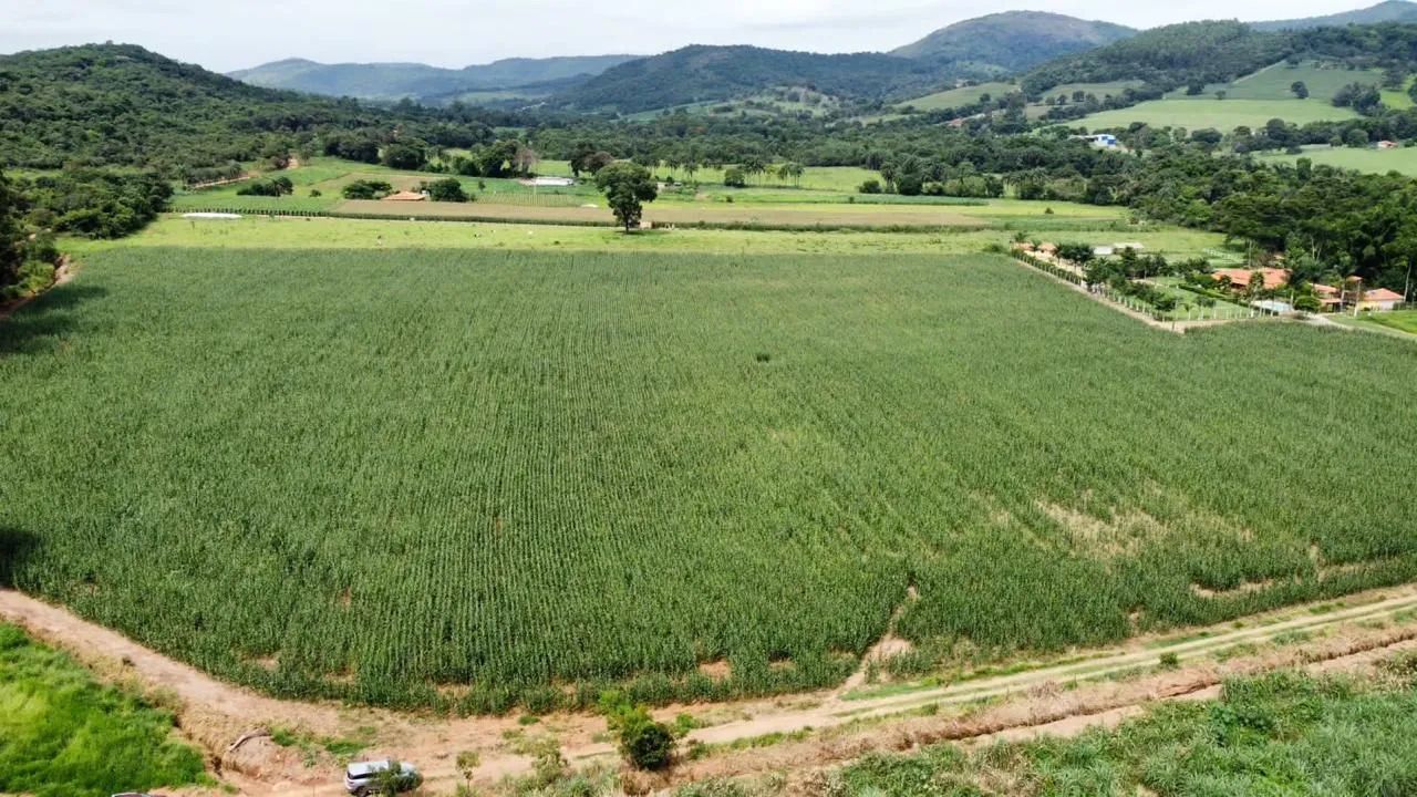 Lotes em serra azul Mateus leme  - Foto 4