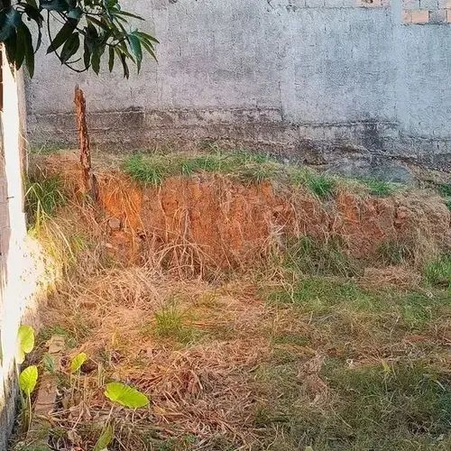 Excelente Lote em São Benedito área comercial. - Foto 3