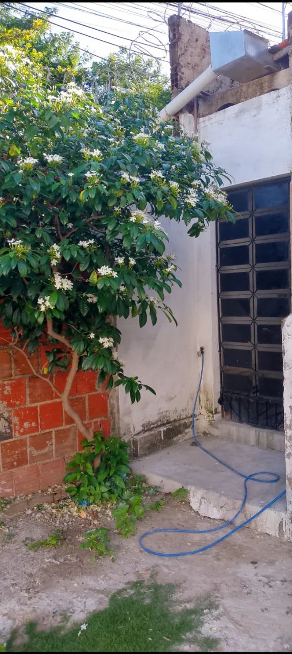 Casa novo Maranguape 1  - Foto 2
