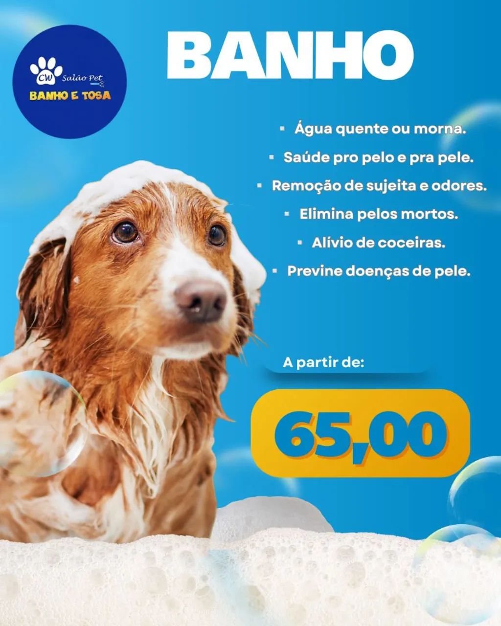 CW SALÃO PET - BANHO E TOSA - Foto 4