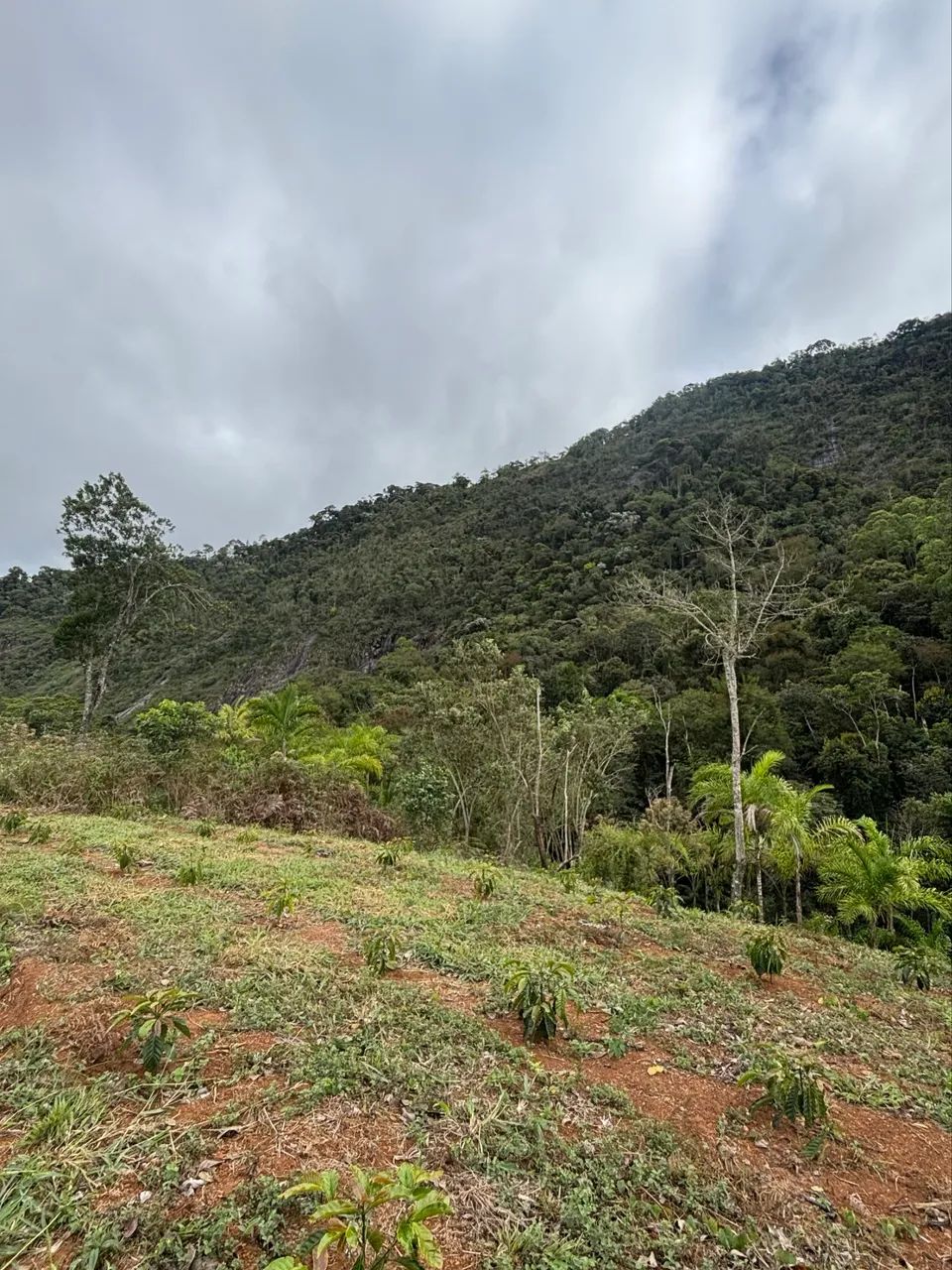 Terreno em vargem alta  - Foto 5
