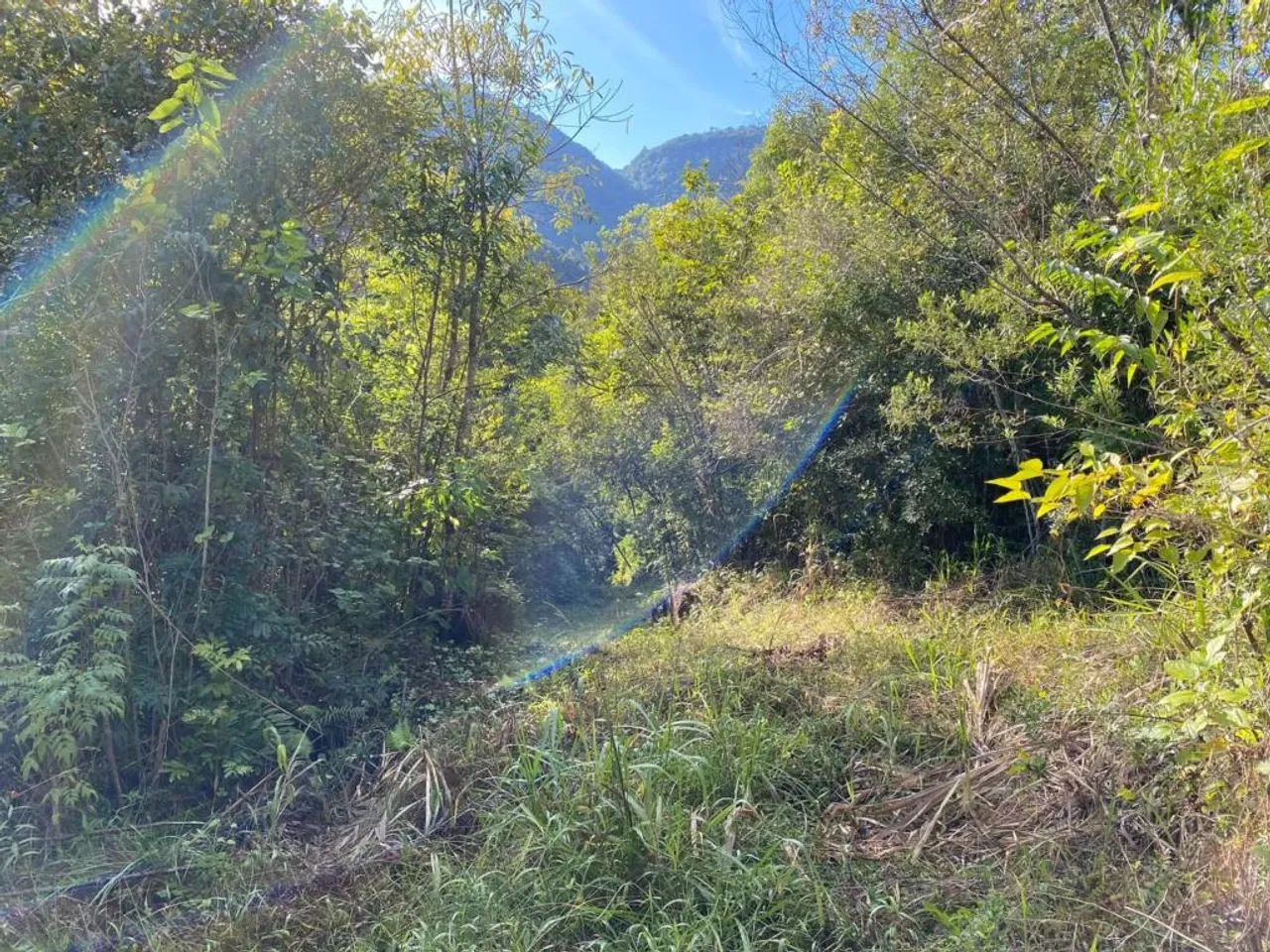 Sitio - Bairro Pedras Brancas - Foto 5