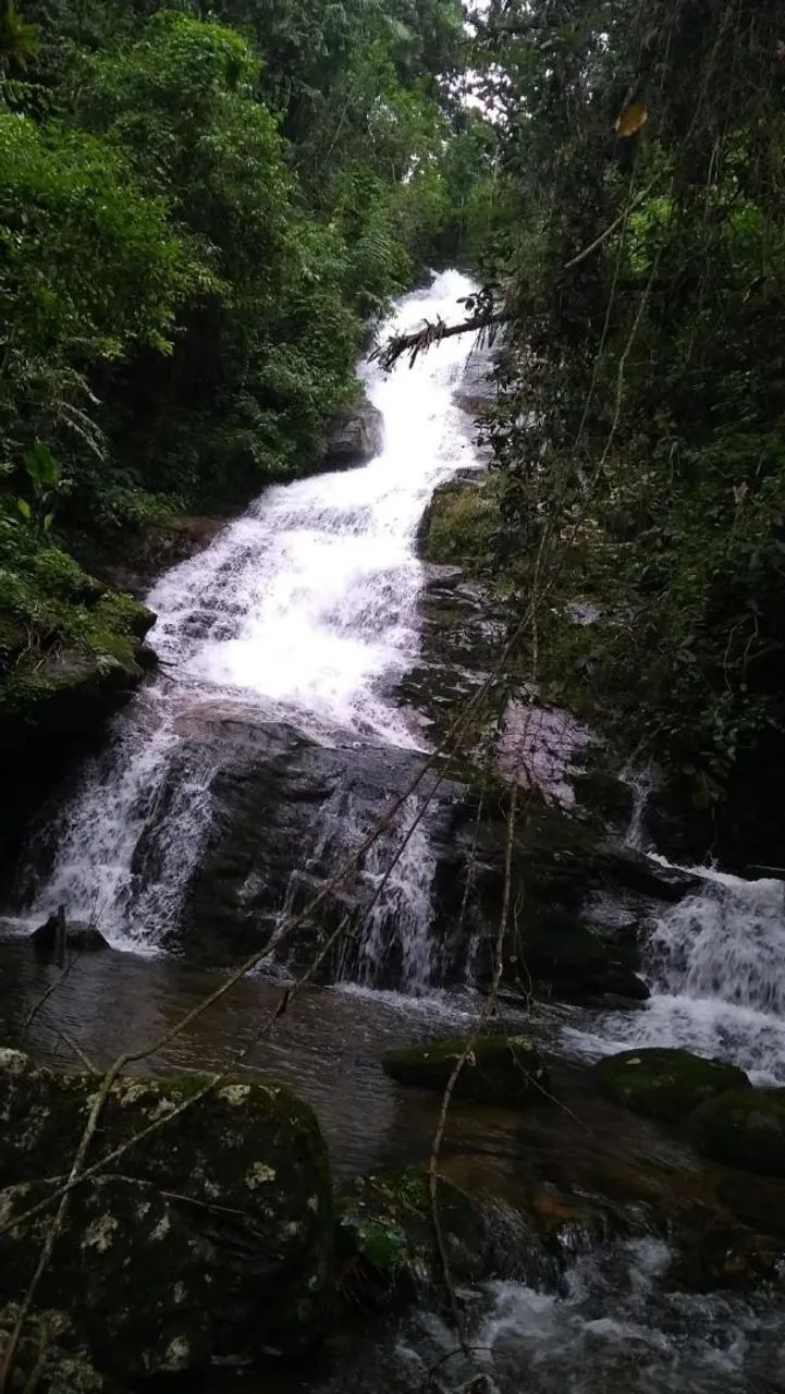 Terreno / sítio / Chácara  - Foto 3