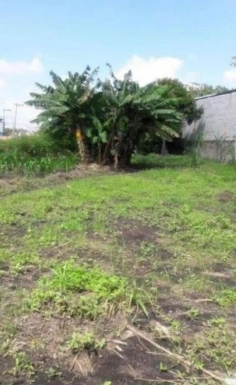 Terreno em Guarulhos - Foto 3