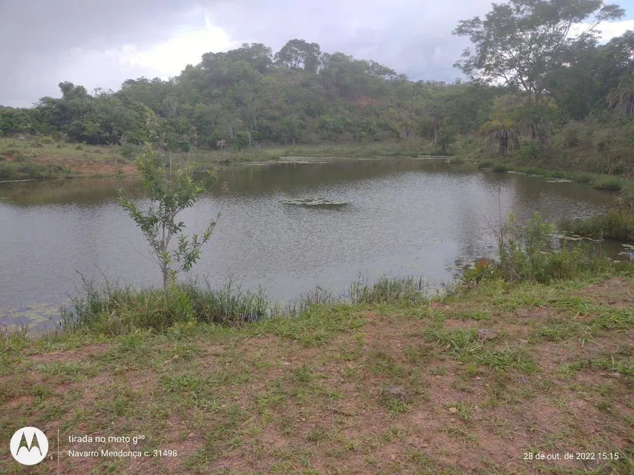Fazenda para cria e recria de gado em Ipameri, GO - Foto 3