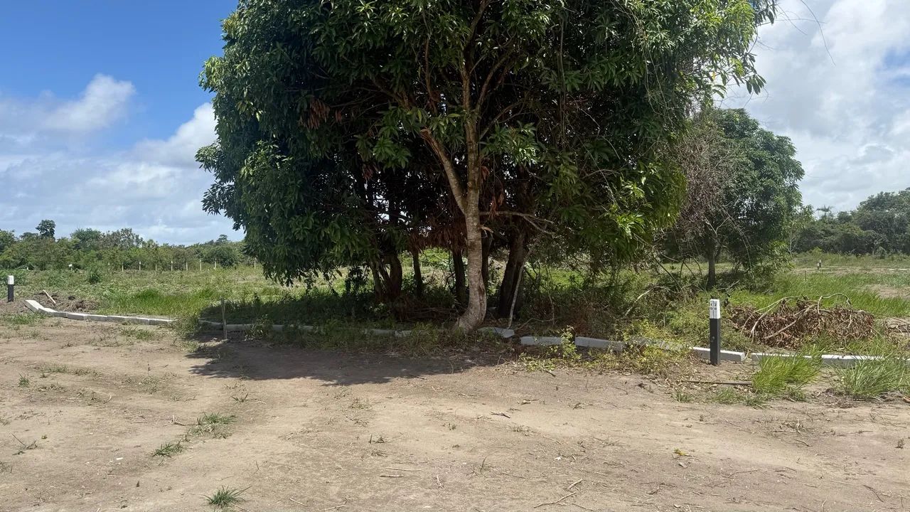 Chácaras a venda - Foto 4