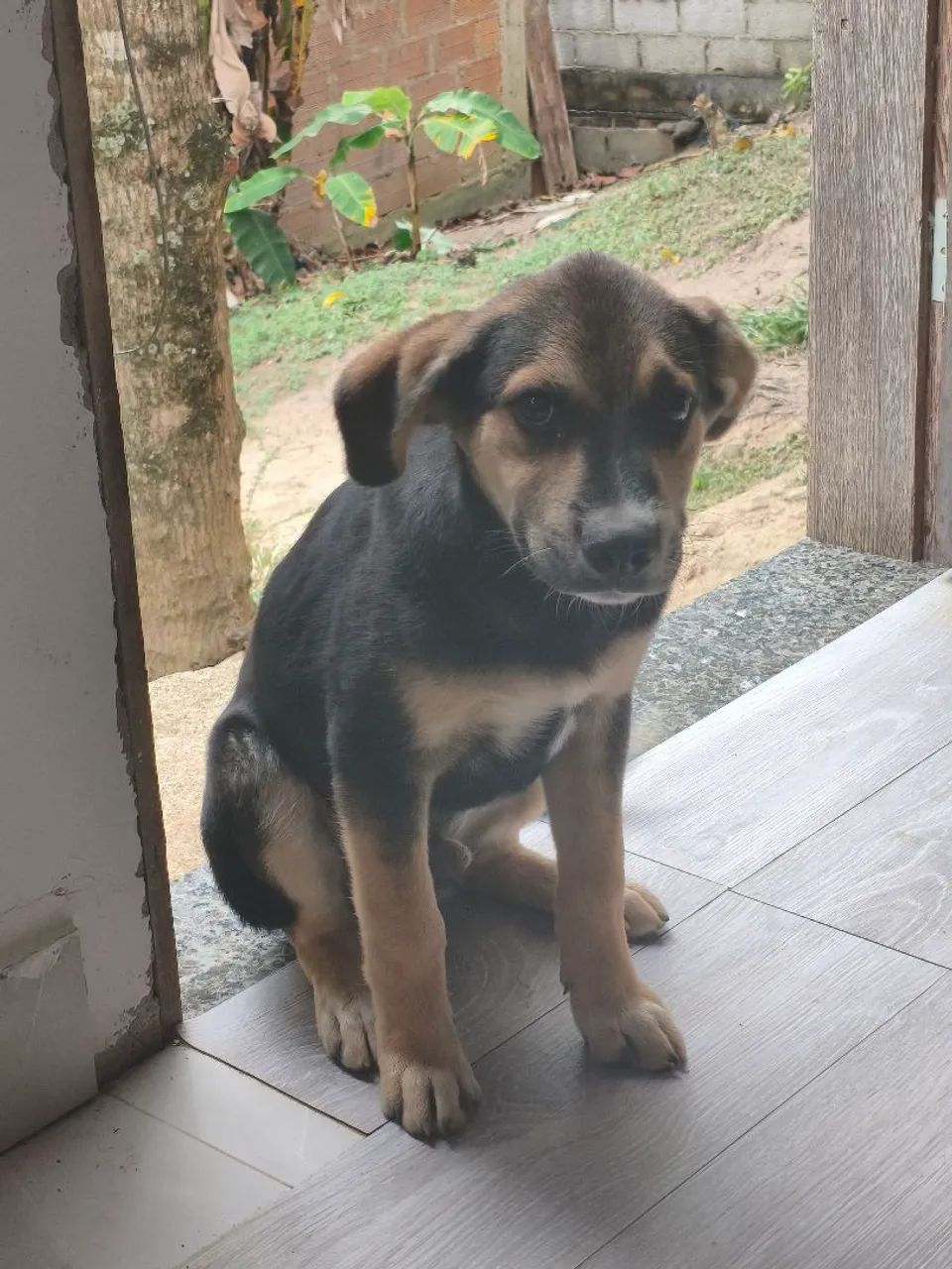 Doação  - Foto 2
