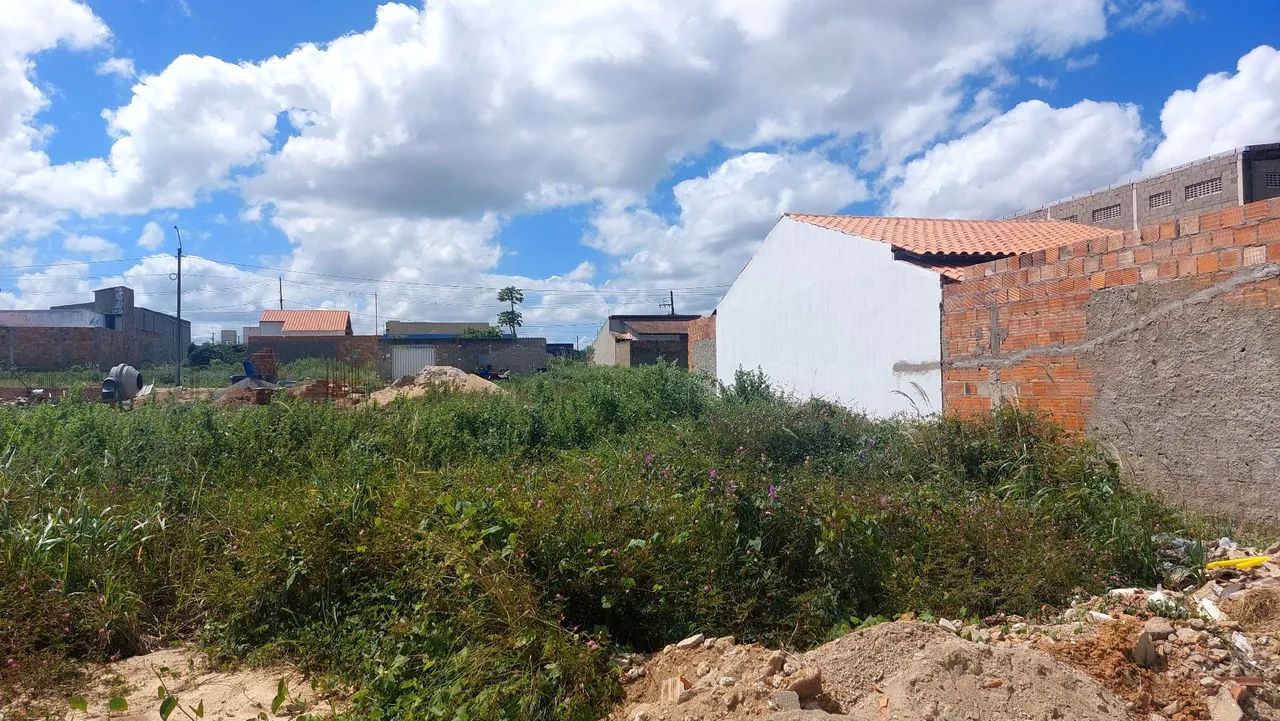 Lote 10 x 20 - Colorado Arapiraca I - Foto 4