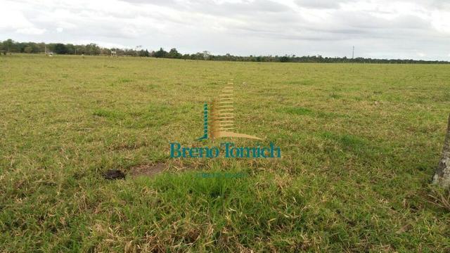 Fazenda Itamaraju - Foto 5