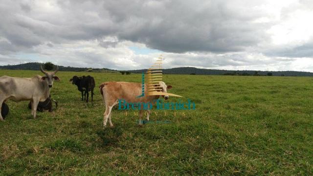 Fazenda Itamaraju - Foto 15