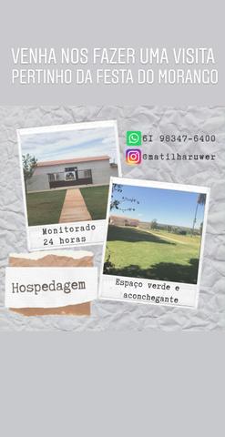 Matilha Ruwer - Canil e Hospedagem para Cães