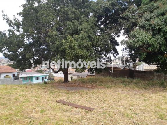 Terreno à venda em Alto dos pinheiros, Belo horizonte cod:767073 - Foto 5
