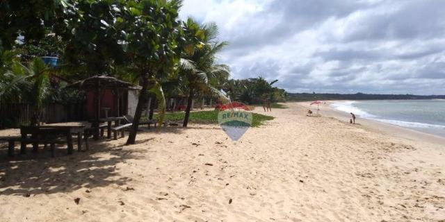Ponto comercial à venda, mutari, santa cruz cabrália. - Foto 14