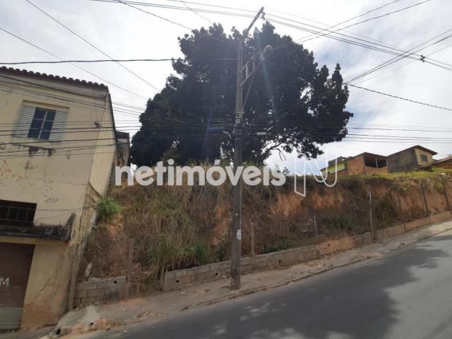 Terreno à venda em Alto dos pinheiros, Belo horizonte cod:767073 - Foto 19