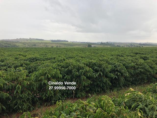 Fazenda com 35 alqueires (169,40 hectares) em São Mateus ES - Foto 5