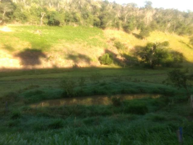 Vende-se Propriedade - Foto 17