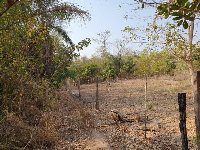 Chacara em acorizal beira do rio - Foto 12
