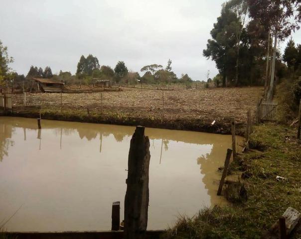 Sítio na Vila Rural (Queimadas) em Inácio Martins - Área: 5,044.09 m² - Foto 9