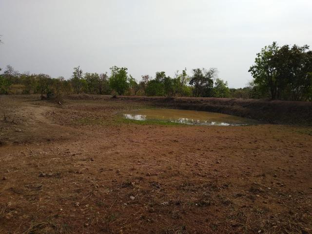 Chácara - Foto 4