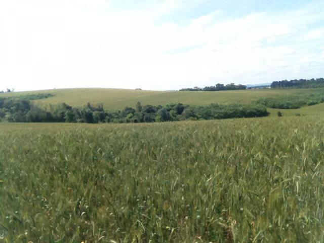 8271 | Fazenda à venda em ZONA RURAL, Espigão Alto Do Iguaçu